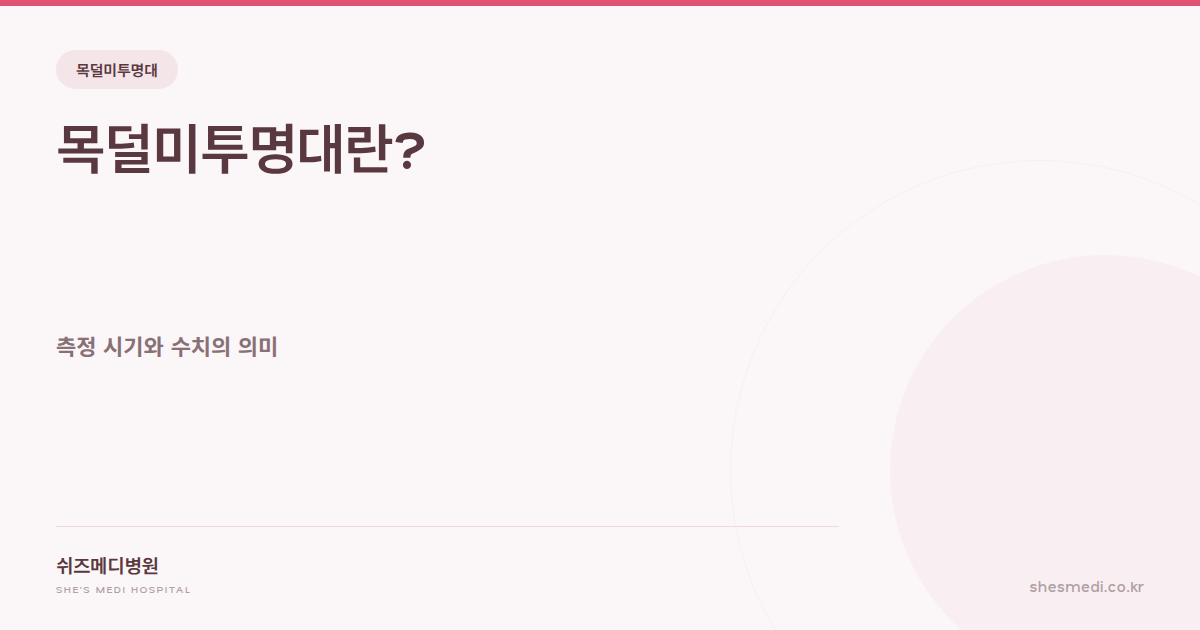 쉬즈메디병원 목덜미투명대 측정 시기와 수치의 의미 안내 썸네일